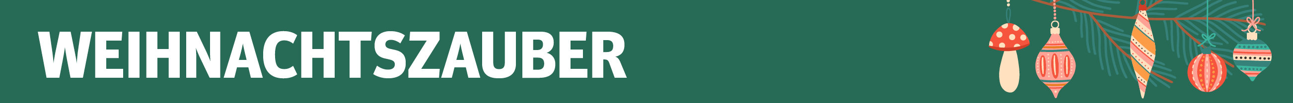 Teaser Slider