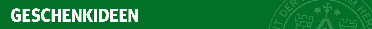 Teaser Slider