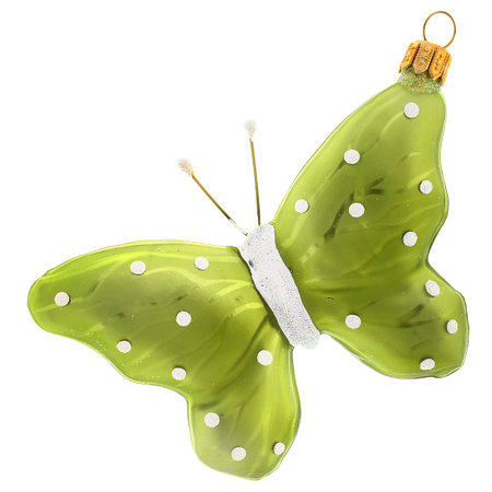 Gläserner Schmetterling, grün