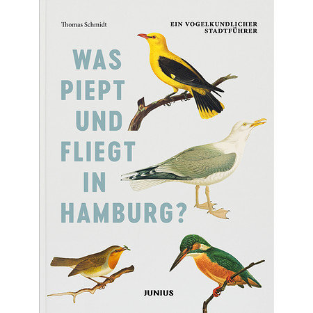 Was piept und fliegt in Hamburg?