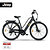 Trekking E-Bike TLR 7010 plus Gepäckträgertasche gratis (1)