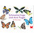 Schmetterlinge und ihre Flügel - Ein Memo-Spiel (2)